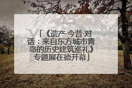 《遗产·今昔·对话：来自东方城市青岛的历史建筑巡礼》专题展在德开幕