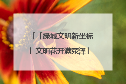 「绿城文明新坐标」文明花开满荥泽