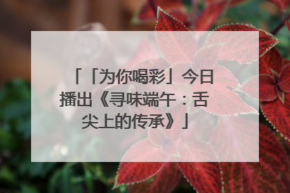 「为你喝彩」今日播出《寻味端午：舌尖上的传承》