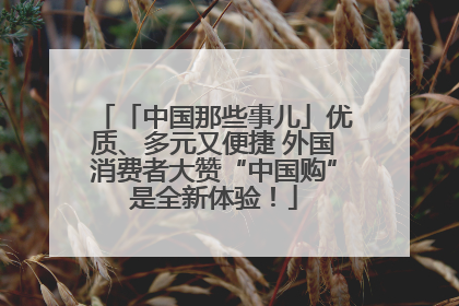 「中国那些事儿」优质、多元又便捷 外国消费者大赞“中国购”是全新体验！