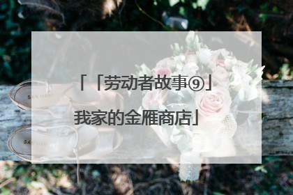 「劳动者故事⑨」我家的金雁商店