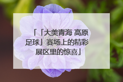「大美青海 高原足球」赛场上的精彩 展区里的惊喜