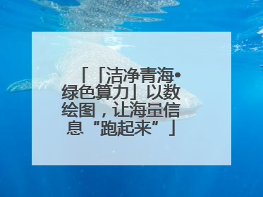 「洁净青海•绿色算力」以数绘图，让海量信息“跑起来”