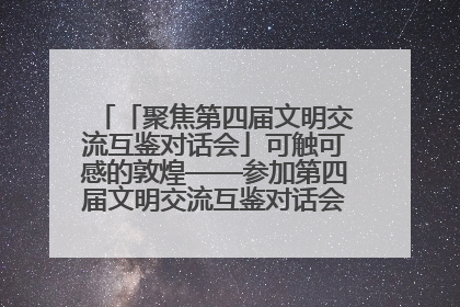 「聚焦第四届文明交流互鉴对话会」可触可感的敦煌——参加第四届文明交流互鉴对话会的外宾参观上元市集