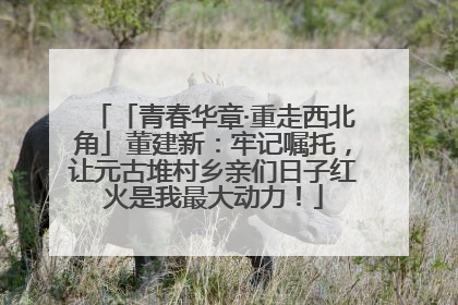 「青春华章·重走西北角」董建新：牢记嘱托，让元古堆村乡亲们日子红火是我最大动力！