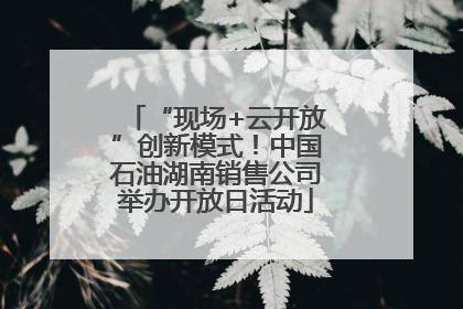 “现场+云开放”创新模式！中国石油湖南销售公司举办开放日活动