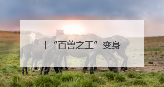 “百兽之王”变身文旅IP 沉浸式体验带火生态游