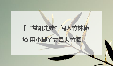 “益阳走娃”闯入竹林秘境 用小脚丫丈量大竹海