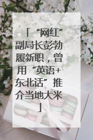 “网红”副局长彭勃履新职，曾用“英语+东北话”推介当地大米
