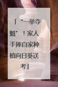 “一举夺魁”！家人手捧自家种植向日葵送考