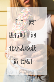 “三夏”进行时丨河北小麦收获近七成