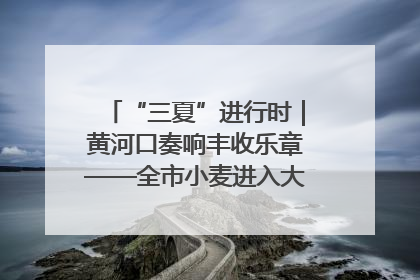 “三夏”进行时｜黄河口奏响丰收乐章——全市小麦进入大面积收获高峰期