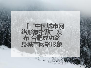 “中国城市网络形象指数”发布 合肥成功跻身城市网络形象榜单第一方阵