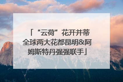 “云荷”花开并蒂 全球两大花都昆明&阿姆斯特丹强强联手