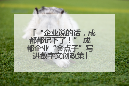 “企业说的话，成都都记下了！” 成都企业“金点子”写进数字文创政策