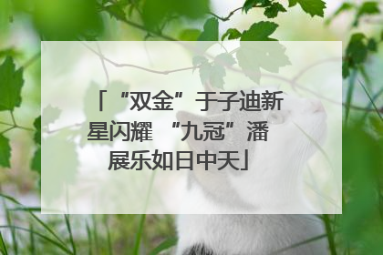 “双金”于子迪新星闪耀 “九冠”潘展乐如日中天