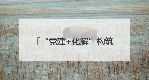 “党建+化解”构筑基层治理安全堤坝