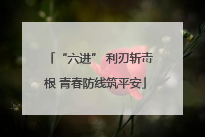 “六进” 利刃斩毒根 青春防线筑平安