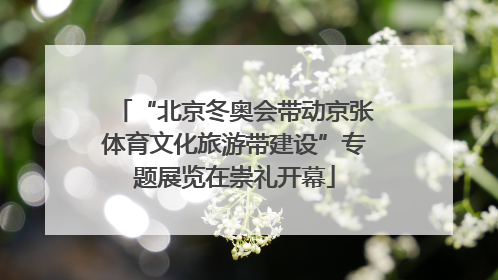 “北京冬奥会带动京张体育文化旅游带建设”专题展览在崇礼开幕