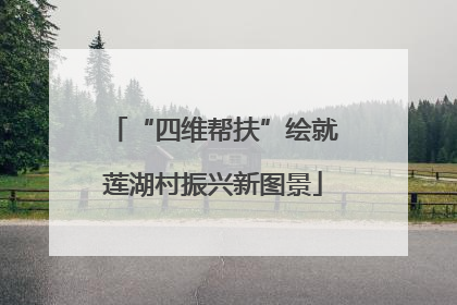 “四维帮扶”绘就莲湖村振兴新图景