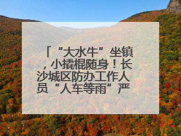 “大水牛”坐镇，小撬棍随身！长沙城区防办工作人员“人车等雨”严阵以待