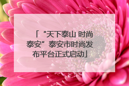 “天下泰山 时尚泰安”泰安市时尚发布平台正式启动