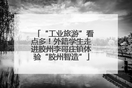 “工业旅游”看点多！外籍学生走进胶州李哥庄镇体验“胶州智造”