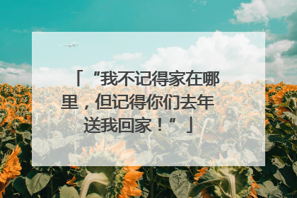 “我不记得家在哪里，但记得你们去年送我回家！”