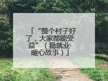 “整个村子好了，大家都能受益”（稳就业·暖心故事）