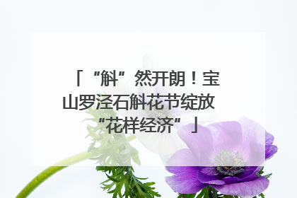 “斛”然开朗！宝山罗泾石斛花节绽放“花样经济”