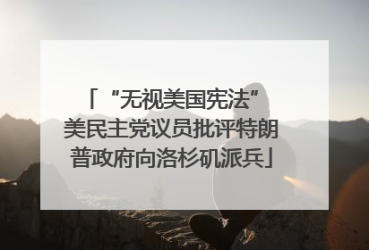 “无视美国宪法” 美民主党议员批评特朗普政府向洛杉矶派兵