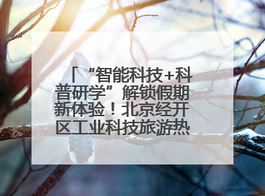 “智能科技+科普研学”解锁假期新体验！北京经开区工业科技旅游热度攀升