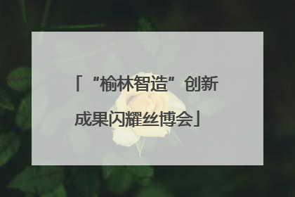 “榆林智造”创新成果闪耀丝博会