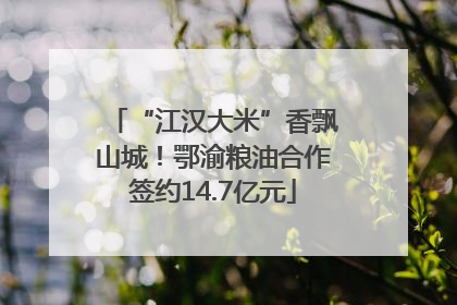 “江汉大米”香飘山城！鄂渝粮油合作签约14.7亿元