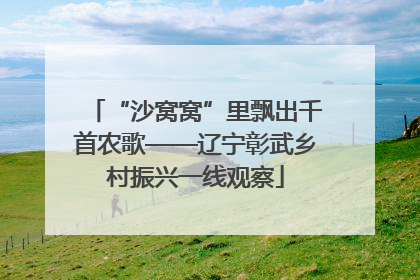 “沙窝窝”里飘出千首农歌——辽宁彰武乡村振兴一线观察