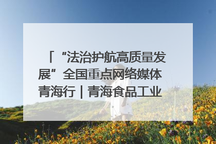 “法治护航高质量发展”全国重点网络媒体青海行｜青海食品工业协会：架起“青字号”美食的产业化桥梁