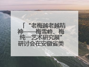 “老梅越老越精神——梅雪峰、梅纯一艺术研究展”研讨会在安徽省美术馆召开