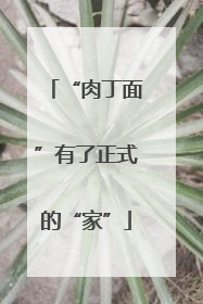 “肉丁面”有了正式的“家”