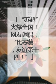 “苏超”火爆全国！网友调侃：“比赛第一，友谊第十四！”