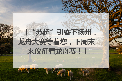 “苏超”引客下扬州，龙舟大赛等着您，下周末来仪征看龙舟赛！
