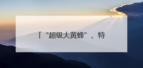 “超级大黄蜂”、特色涂装苏-30MKM 众多明星装备亮相
