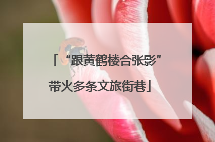 “跟黄鹤楼合张影”带火多条文旅街巷