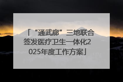 “通武廊”三地联合签发医疗卫生一体化2025年度工作方案