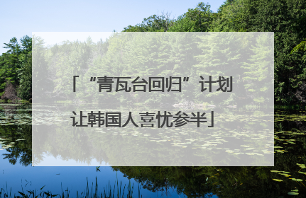 “青瓦台回归”计划让韩国人喜忧参半