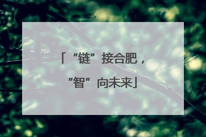 “链”接合肥，“智”向未来