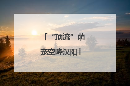 “顶流”萌宠空降汉阳