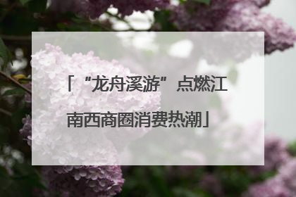“龙舟溪游”点燃江南西商圈消费热潮