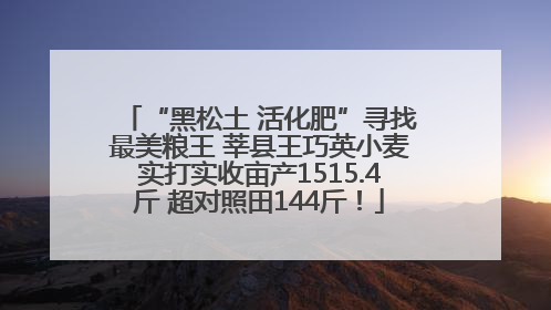 “黑松土 活化肥”寻找最美粮王 莘县王巧英小麦实打实收亩产1515.4斤 超对照田144斤！