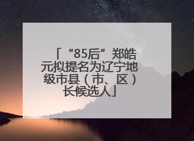 “85后”郑皓元拟提名为辽宁地级市县（市、区）长候选人