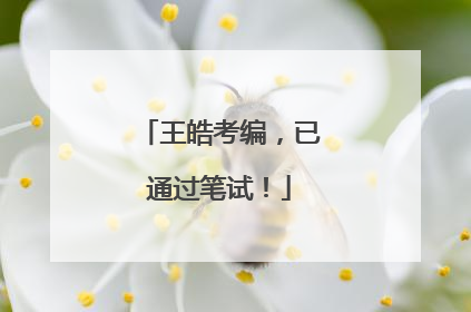 王皓考编，已通过笔试！